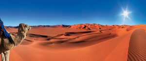 Sahara Desert landscape in Morocco